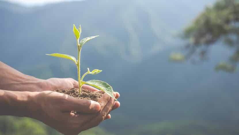 Resiliência potiguar: RN rumo à sustentabilidade e à segurança do futuro - Foto: jcomp/Freepik