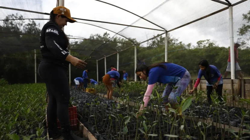 Governo fecha parceria para expandir energia renovável na amazônia | notícias do rio grande do norte d6a5145