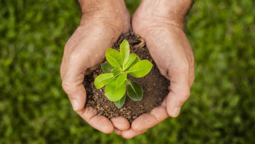 feche o A agenda ambientalista - Foto: Freepiksolo