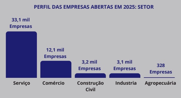 Pequenos negócios impulsionam economia do rn e registram melhor saldo de novas empresas em cinco anos | notícias do rio grande do norte Pequenos negócios