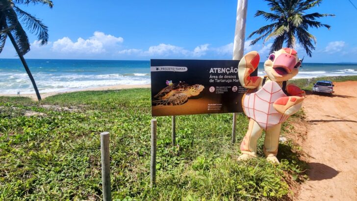 WhatsApp Image 2025 12 17 at 11.12.13