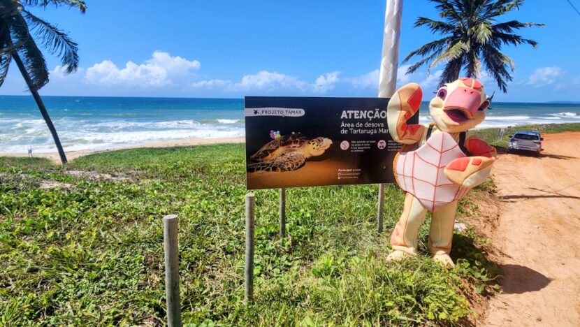Projeto tamar abre temporada de desova das tartarugas marinhas em pipa | notícias do rio grande do norte WhatsApp Image 2025 12 17 at 11.12.13
