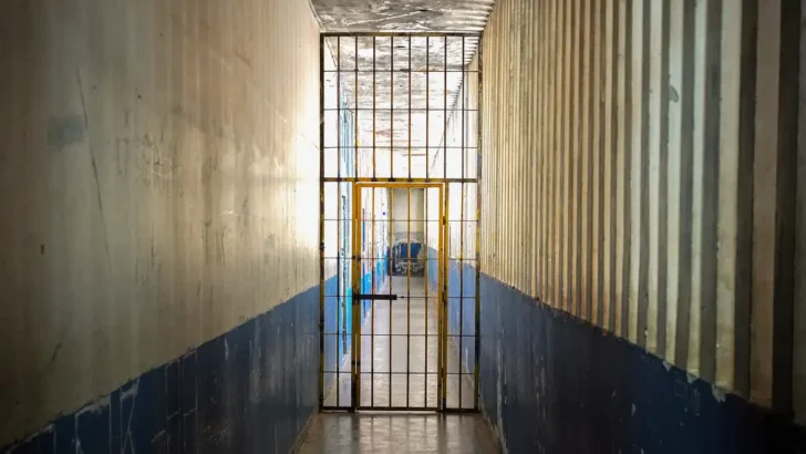 52941724590 0bc21768cc o