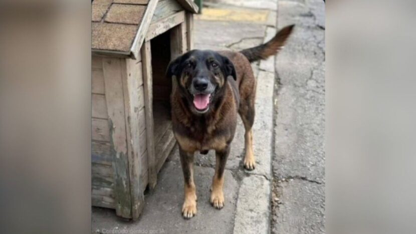 729da917 5b2c 4311 831d dfb024941d05