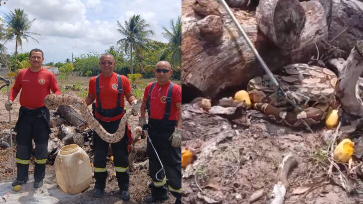 MODELO FOTO PORTAL 2026 01 19T091026.110