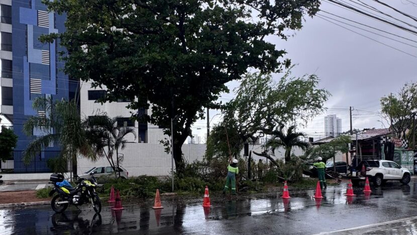 Árvore cai após chuva e interdita cruzamento em tirol, em natal | notícias do rio grande do norte MODELO FOTO PORTAL 2026 01 20T104825.501