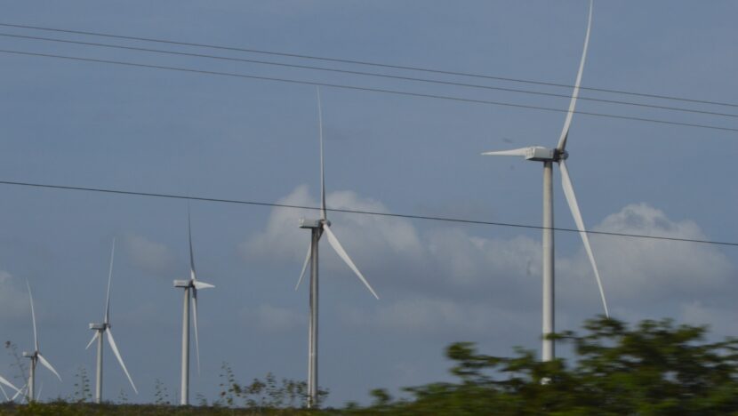 RN mantém destaque em energia renovável, mas avanço depende de reforço na transmissão