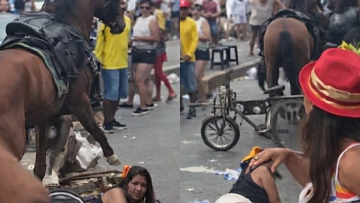 22070806 454b 4740 94e9 f715f8a72f3b (1)