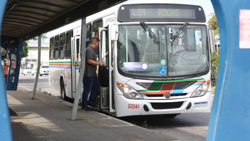 WhatsApp Image 2026 02 14 at 14.33.24