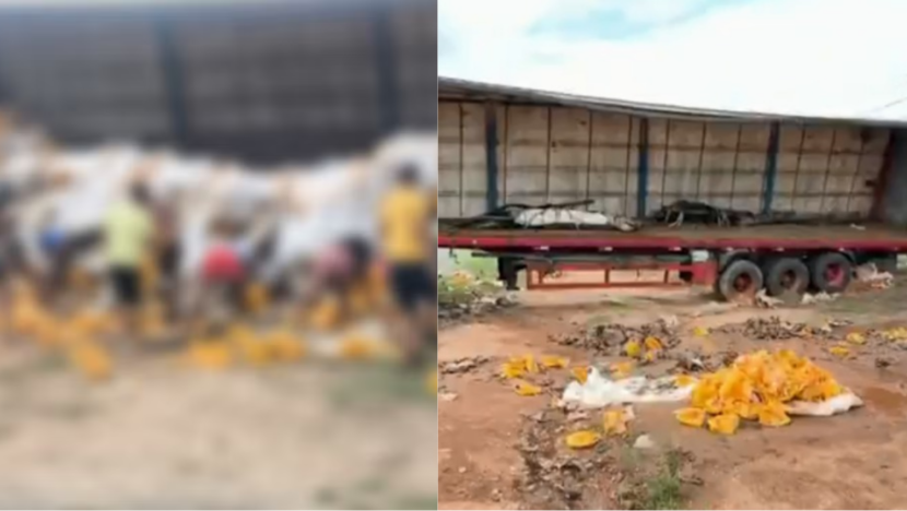Caminhão com mais de 7 mil cervejas tomba na BR-101 e carga é saqueada no RN - Foto: Reprodução/G1RN