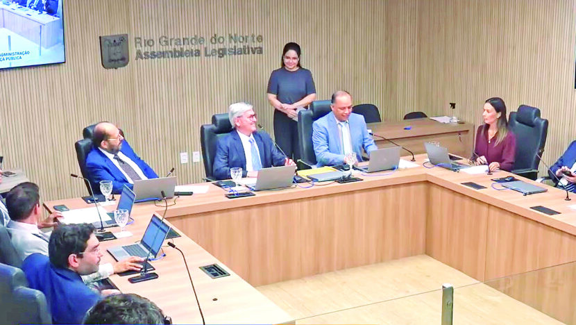 Comissões examinam e discutem parecer das proposições antes do plenário - Foto: TV Assembleia/Reprodução