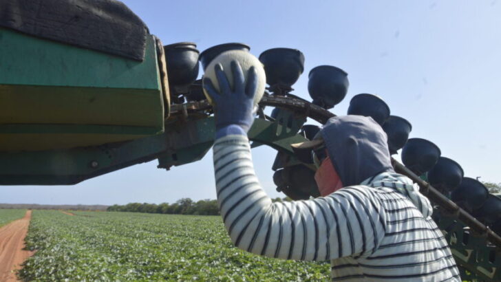 Fazenda Famosa Coleta do Melao Mossoro RN 53 scaled e1765237803221 830x468
