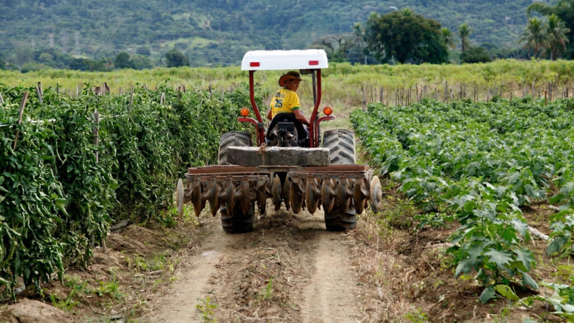 Máquina no campo