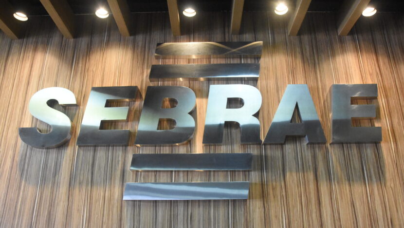Sebrae (4)