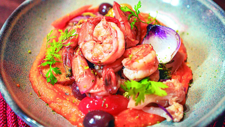 WhatsApp Image 2026 03 04 at 16.17.09