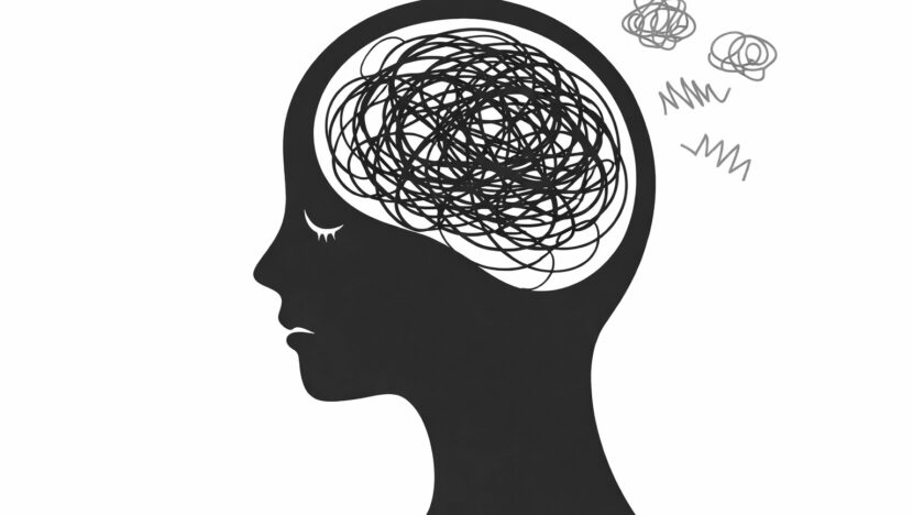 WhatsApp Image 2026 03 06 at 14.18.12