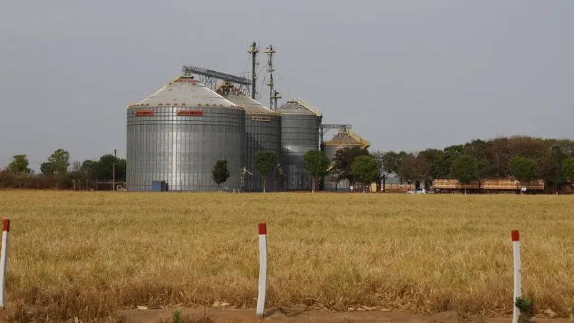 A safra recorde de commodities agrícolas contribuiu de forma mais incisiva para o crescimento do PIB do Brasil - Foto: FeRio Grande do Norteando Frazão/Agência Brasil
