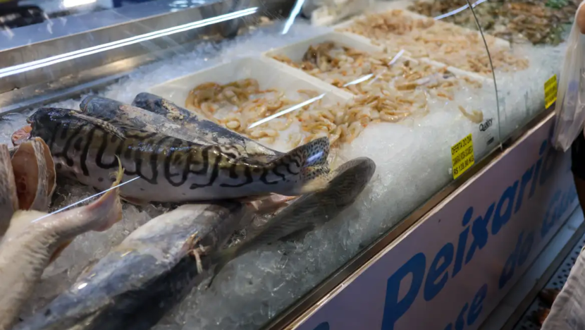 Vigilância sanitária orienta sobre compra de pescado na semana santa | notícias do rio grande do norte image