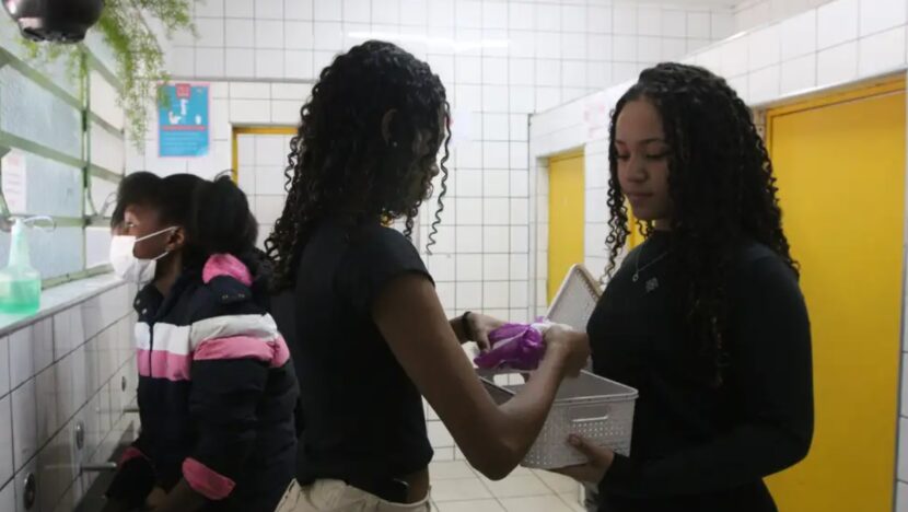 meninas rovena rosa ag brasil