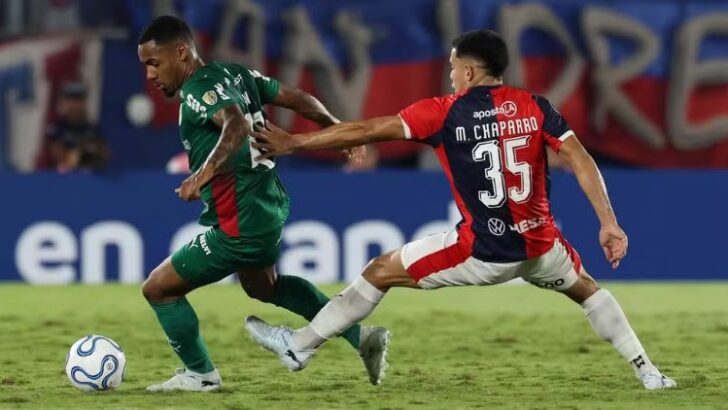 Alan Palmeiras Copia