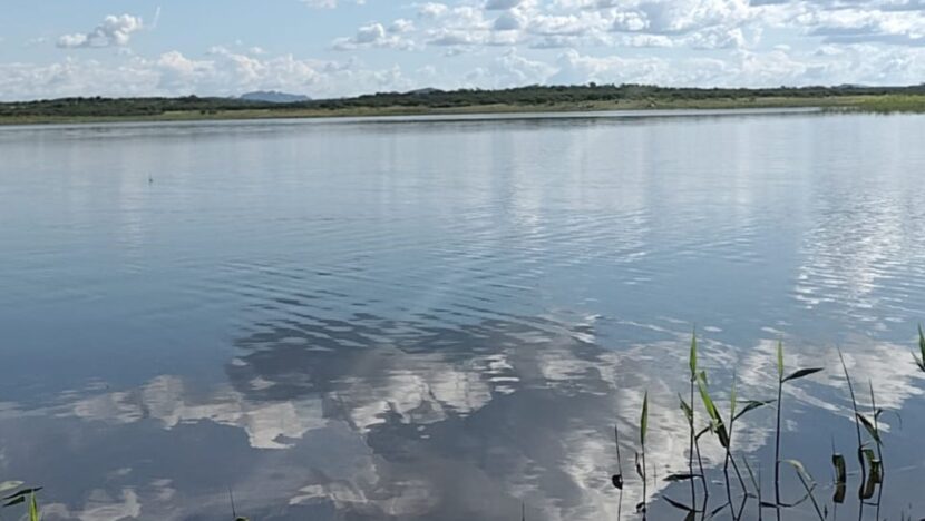 MODELO FOTO PORTAL (55)