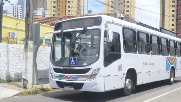 Onibus2 (9)