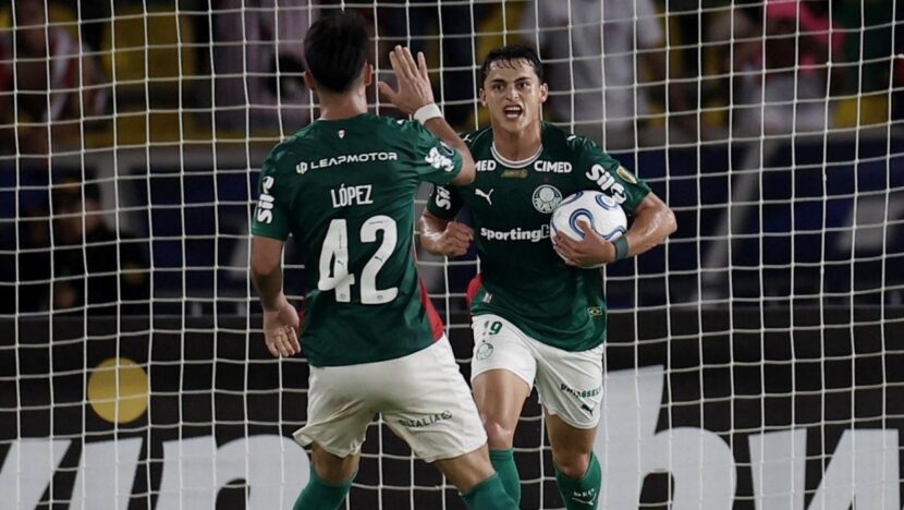 Palmeiras 02