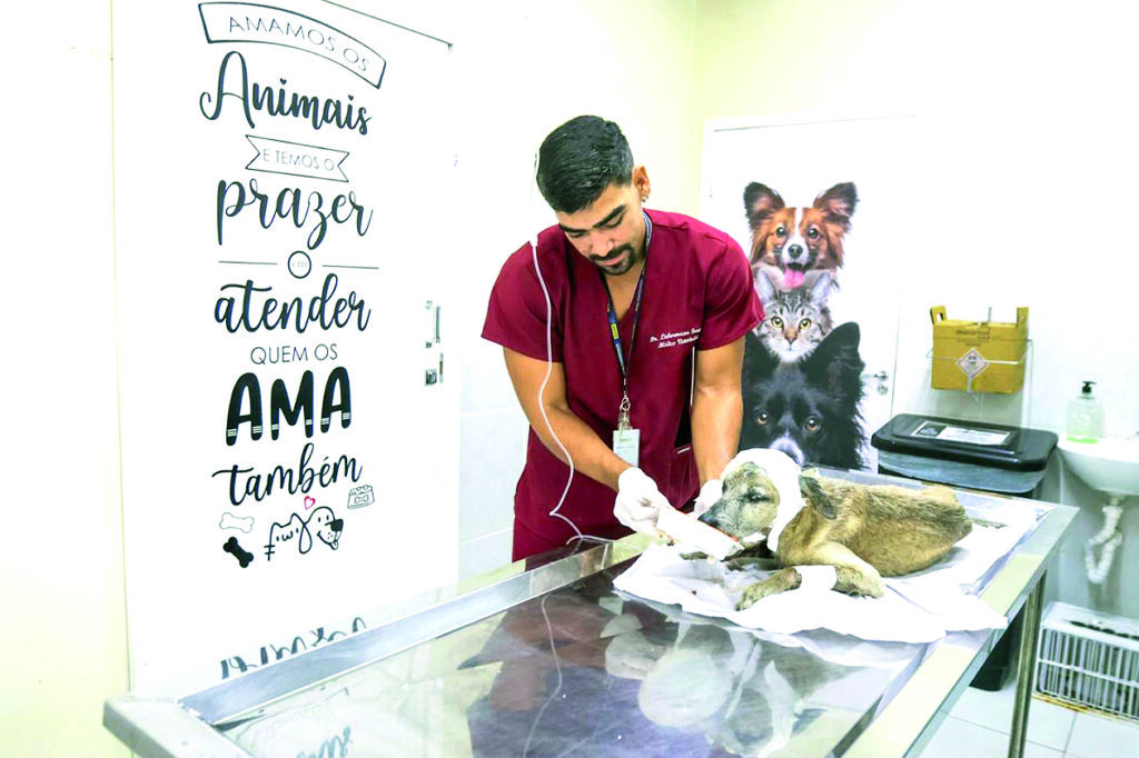 PaRio Grande do Norteamirim 2