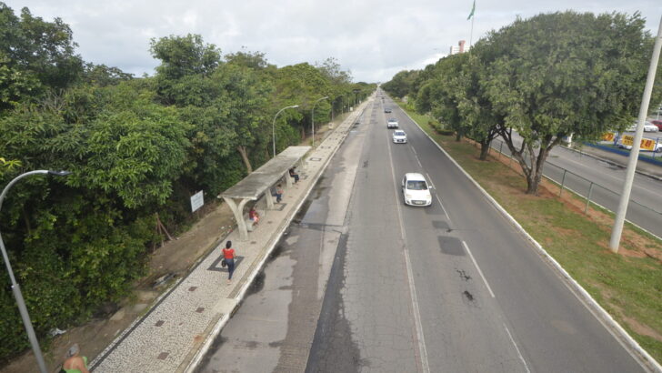 Parque Linear (28) Copia