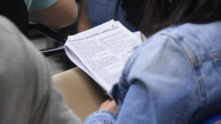 Preparação para Concursos IAP (10)