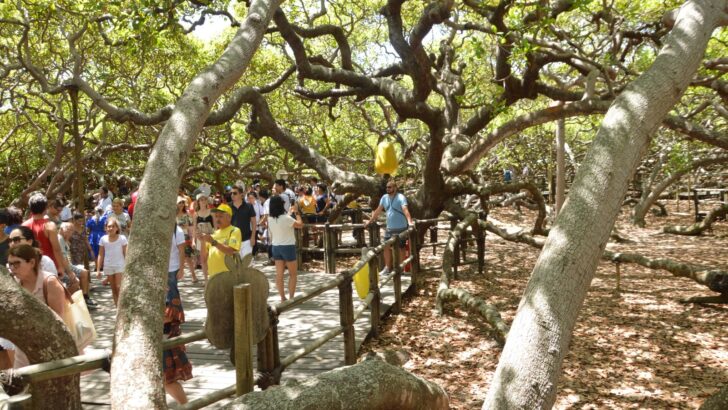 WhatsApp Image 2026 04 15 at 11.18.53