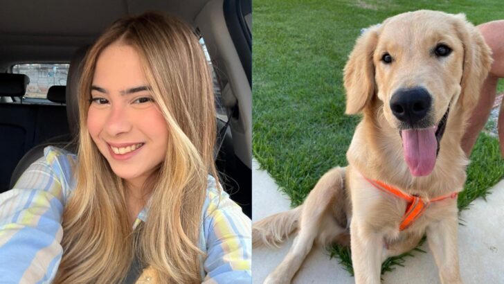 WhatsApp Image 2026 04 16 at 09.26.06 Copia