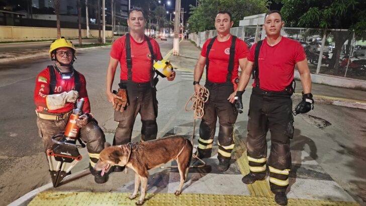 bombeiros