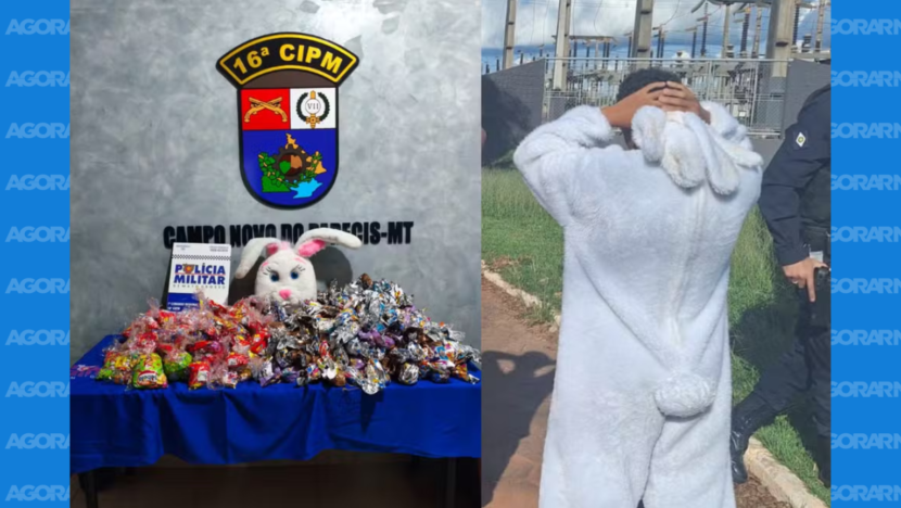 ‘coelhinho da páscoa’ é detido durante distribuição de chocolates em mt; ação seria usada para atrair crianças para facção, diz pm | notícias do rio grande do norte coelhinho