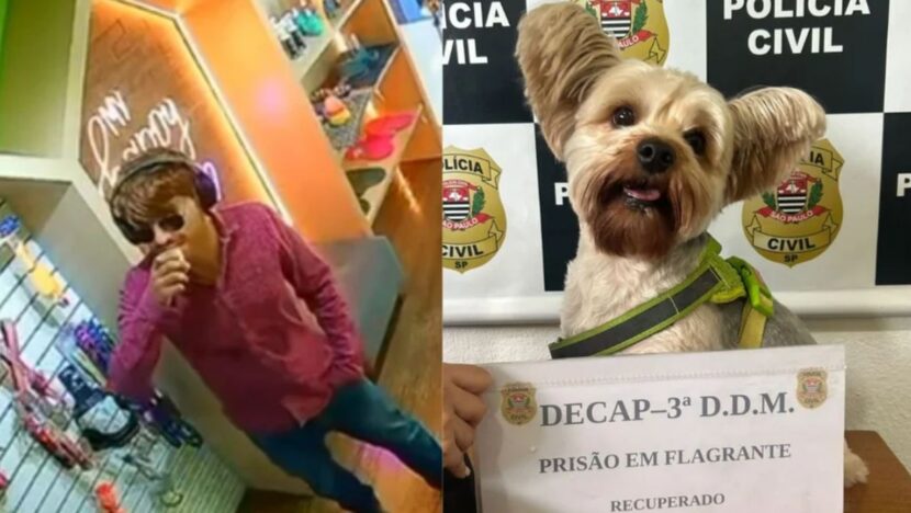 doguinho