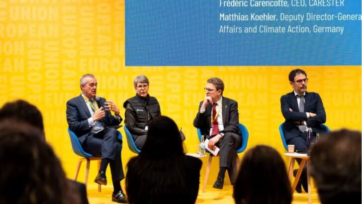 minerais críticos Copia