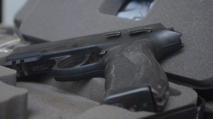 Armamentos Fúzis e Pistolas PRONASCI ll(112)