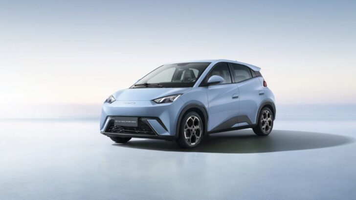 BYD 01