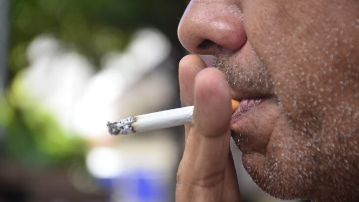 Cigarro fumante (7)