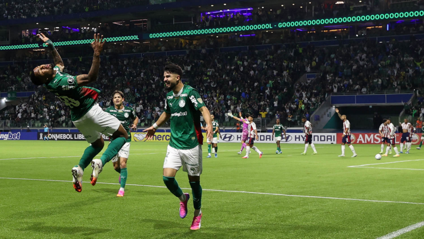 Palmeiras foto Cesar Greco Palmeiras 2