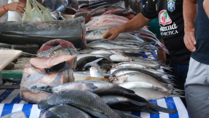 Peixes da Semana Santa 76 930x524