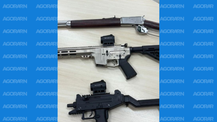 Na ação, a Polícia Federal apreendeu armas de calibres variados. Foto: PF