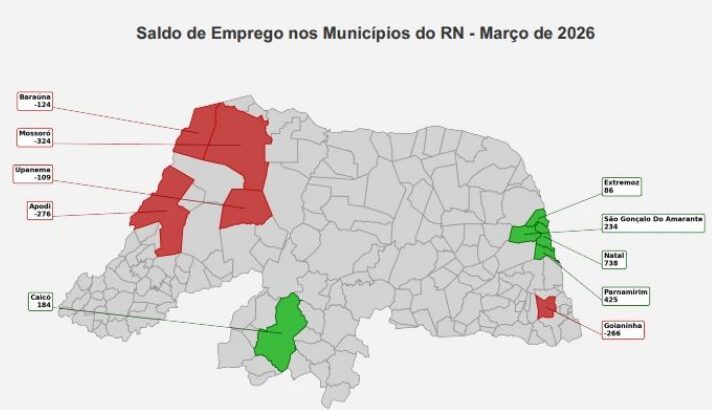 emprego micro