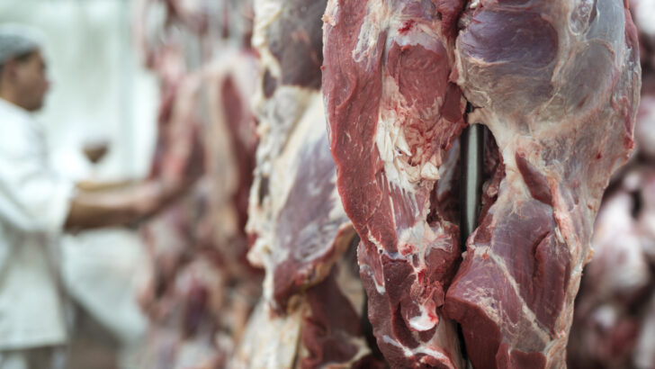fresh red meet butchery worker working background