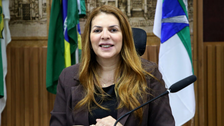 Nina diz que o PT torce contra São João de Natal - Foto: Francisco de Assis/CMN