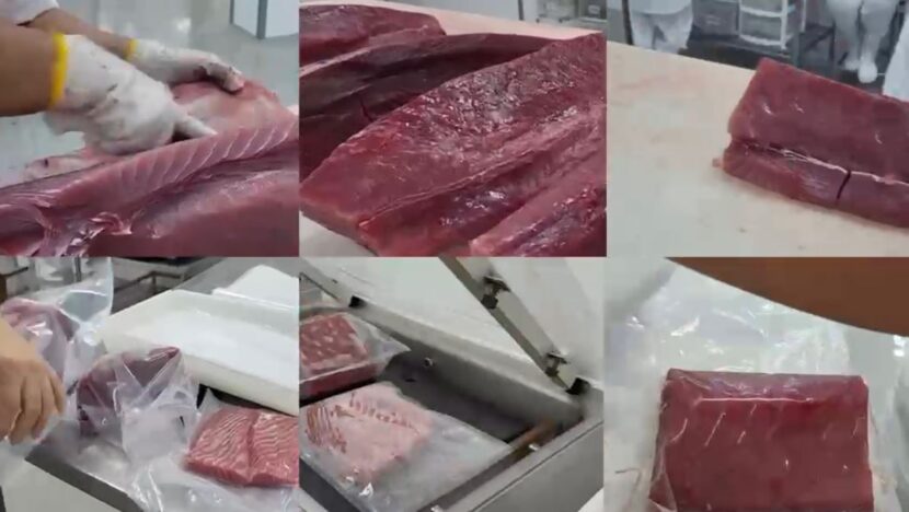 Rn entra em rota para reabrir mercado da ue | notícias do rio grande do norte Atum