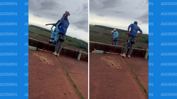 Jovem de 21 anos morre após ser lançada sem corda de plataforma de rope jump em Limeira — Foto: Reprodução/Redes sociais