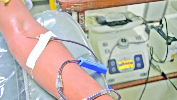 Doação de Sangue Hemonorte (3)