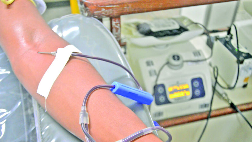 Doação de Sangue Hemonorte (3)