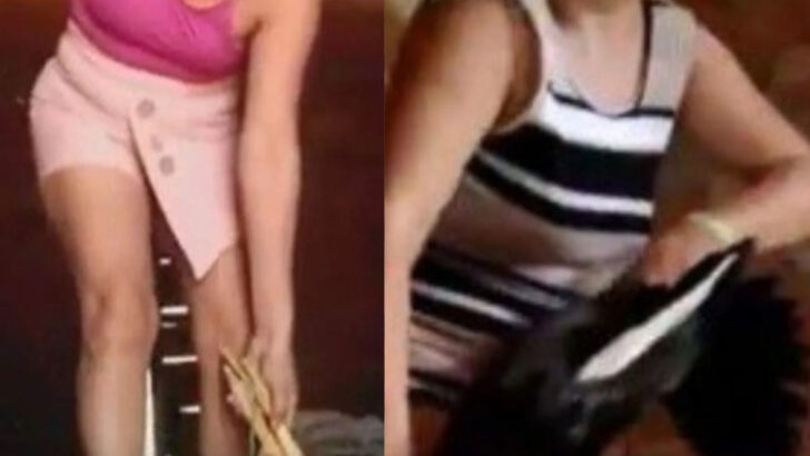Mulher que matava animais na inteRio Grande do Norteet é presa